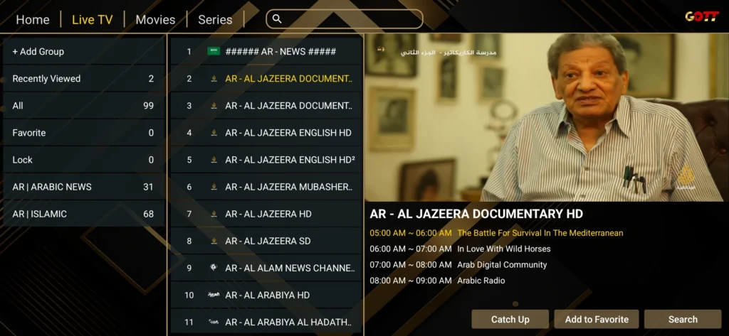 IBOGOLD home screen on Firestick"